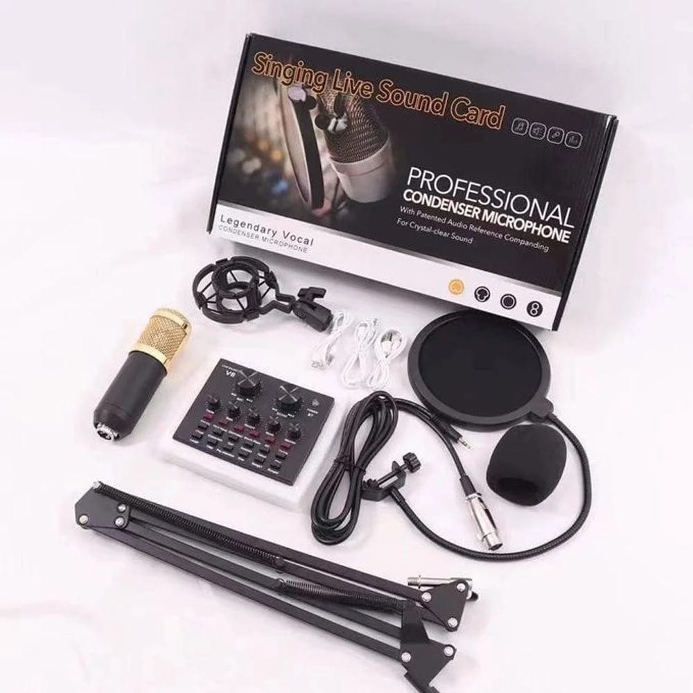 Professional Condenser Microphone