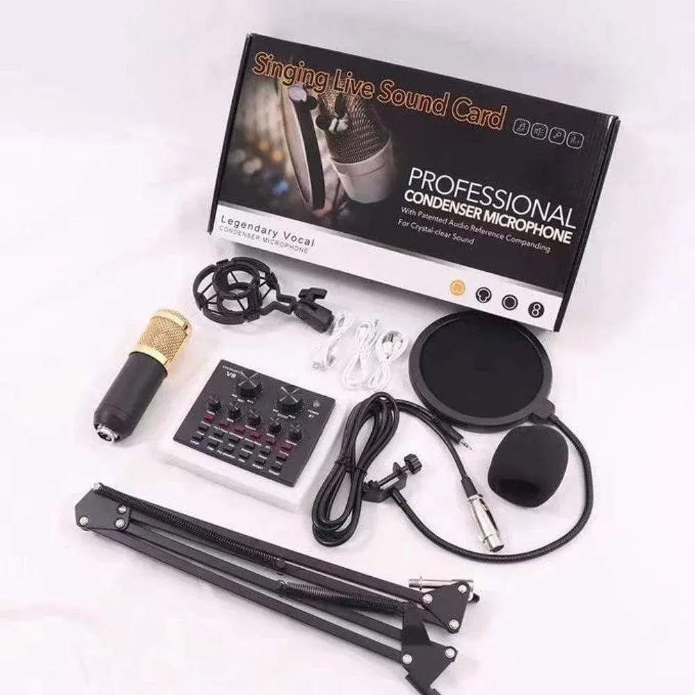 Professional Condenser Microphone
